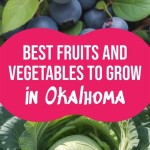Best Fruits And Vegetables To Grow In Oklahoma